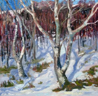 winter birches